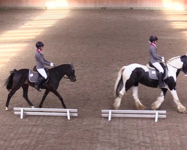 Reitturnier Leck 2024