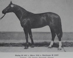 stallion Dialog II 1423 (Brandenburg, 1980, from Direx 3257)