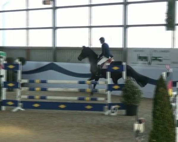 1. Hallen-Late-Entry Reitsportzentrum Gerd Könemann