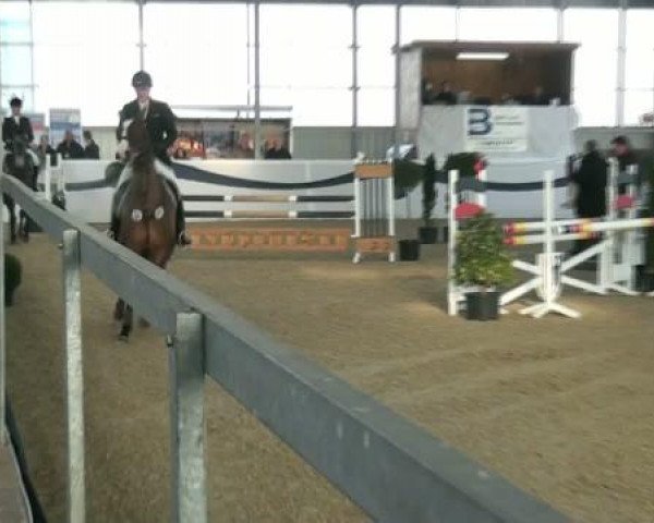 1. Hallen-Late-Entry Reitsportzentrum Gerd Könemann