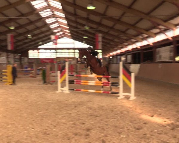 Reitturnier Elisenau 2021