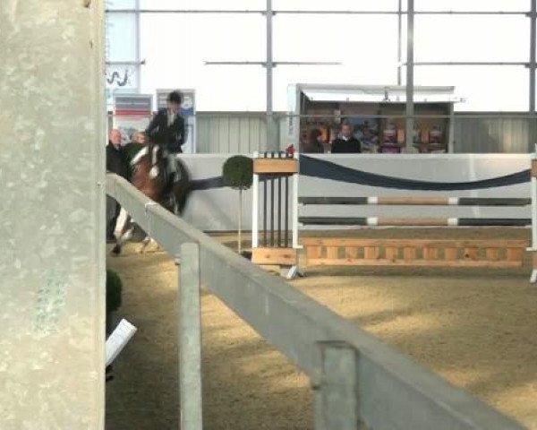 1. Hallen-Late-Entry Reitsportzentrum Gerd Könemann