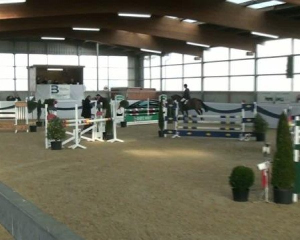 1. Hallen-Late-Entry Reitsportzentrum Gerd Könemann