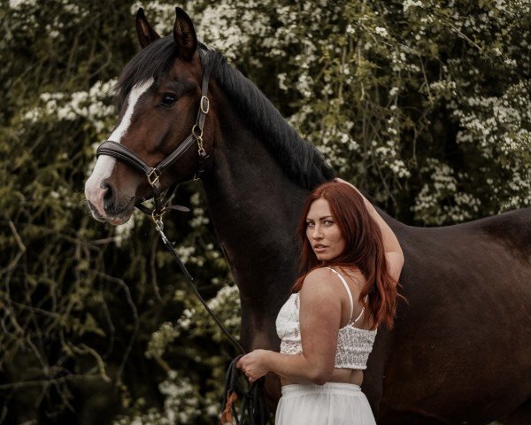 horse DMJ Zanceo (Hanoverian, 2021, from Zoom)