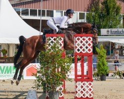 jumper Greta 177 (Oldenburg show jumper, 2014, from Eldorado van de Zeshoek)
