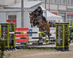 jumper Carnute de Chanel Z (Zangersheide riding horse, 2018, from Carnute Vainqueur)
