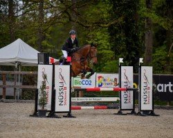 jumper Vince van Gogh (German Sport Horse, 2020, from van Gogh)