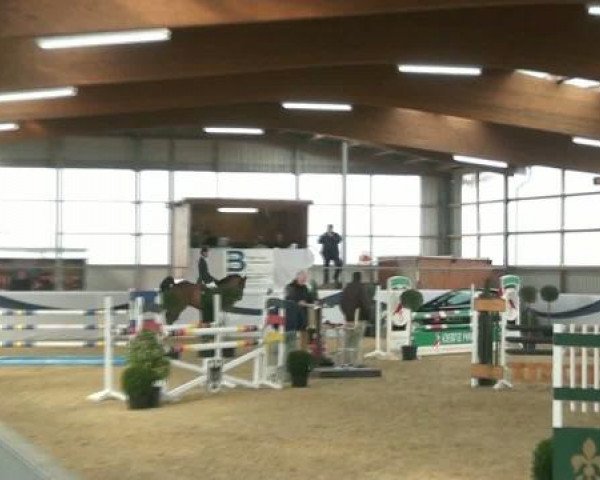 1. Hallen-Late-Entry Reitsportzentrum Gerd Könemann