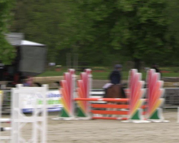Reitturnier Olfen-Vinnum 2024