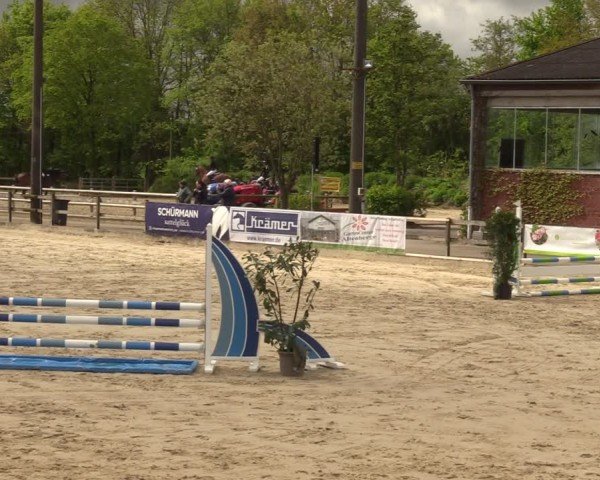 Reitturnier Nienberge 2024
