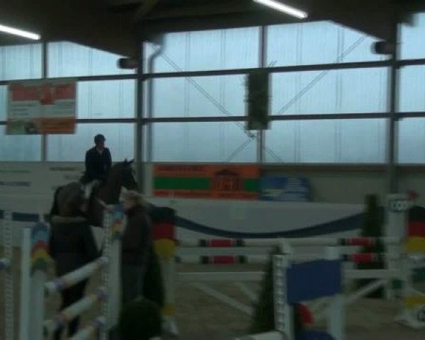1. Hallen-Late-Entry Reitsportzentrum Gerd Könemann