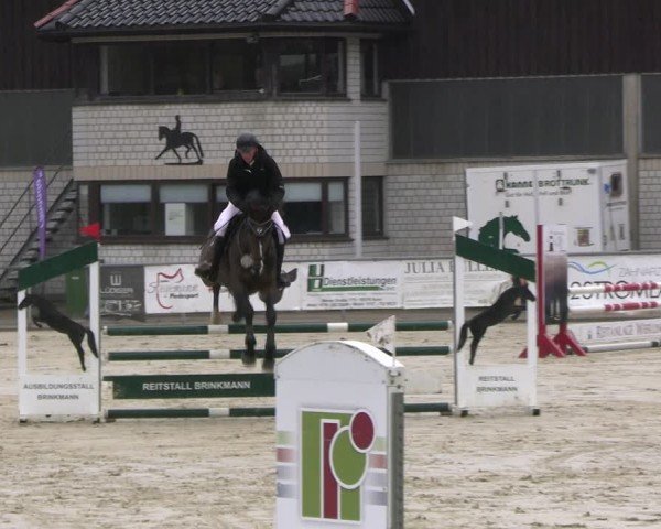 Reitturnier Olfen-Vinnum 2024