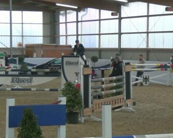 1. Hallen-Late-Entry Reitsportzentrum Gerd Könemann