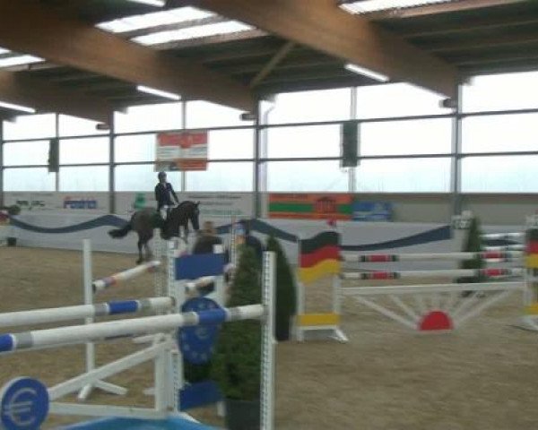 1. Hallen-Late-Entry Reitsportzentrum Gerd Könemann
