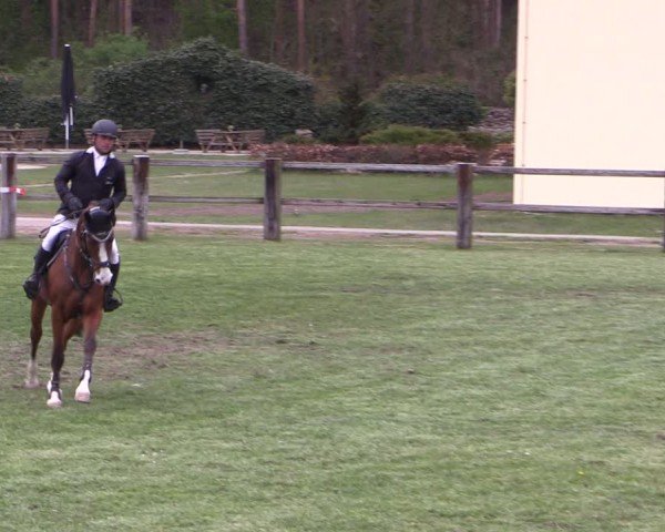 Reitturnier Niemegk / Neuendorf 2024