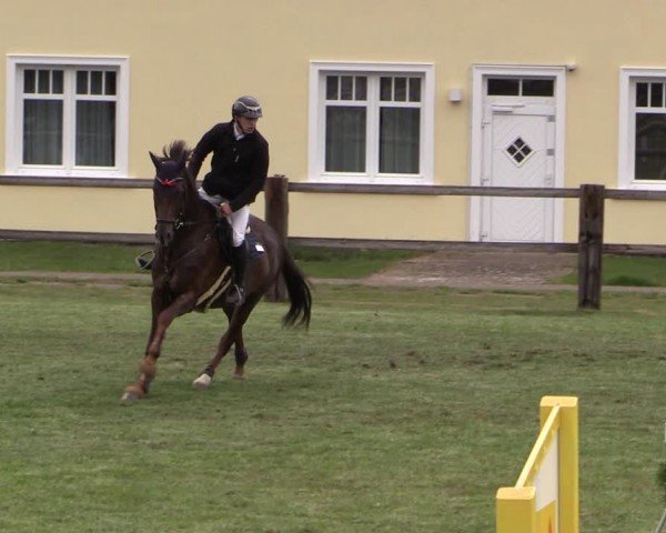 Reitturnier Niemegk / Neuendorf 2024