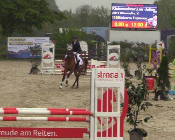 Reitturnier Nienberge 2024