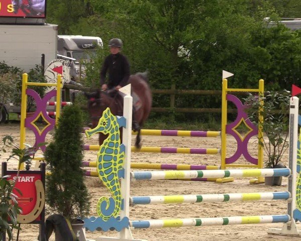 Reitturnier Nienberge 2024