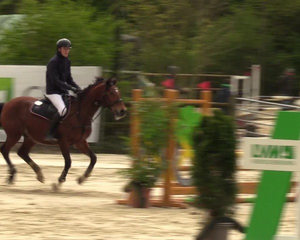 Reitturnier Nienberge 2024