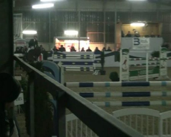 1. Hallen-Late-Entry Reitsportzentrum Gerd Könemann
