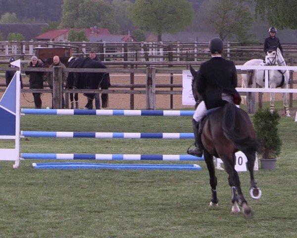 Reitturnier Niemegk / Neuendorf 2024