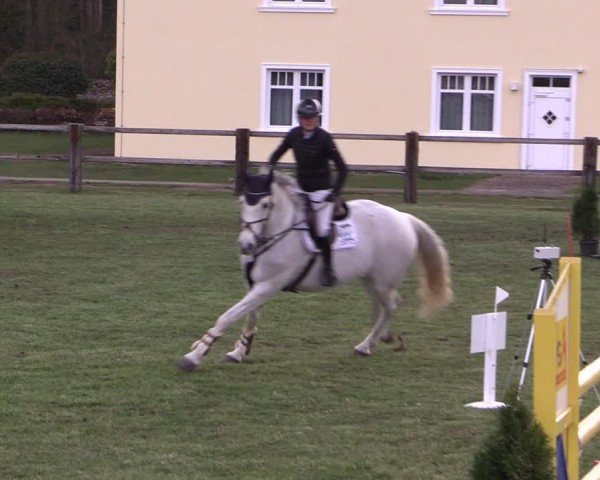 Reitturnier Niemegk / Neuendorf 2024