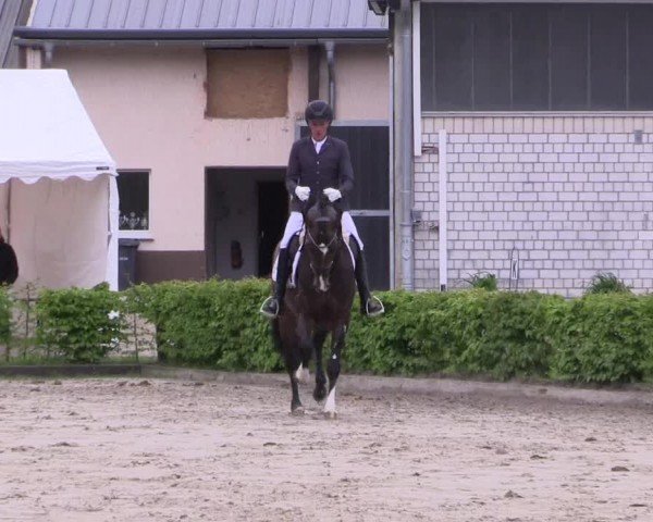 Reitturnier Olfen-Vinnum 2024