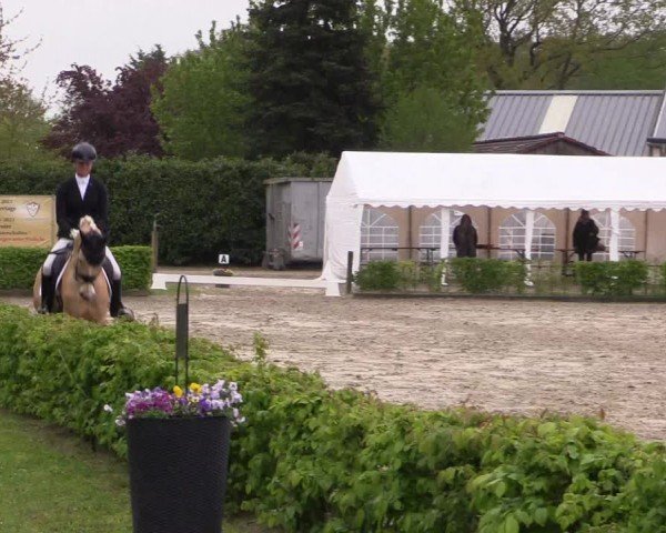 Reitturnier Olfen-Vinnum 2024