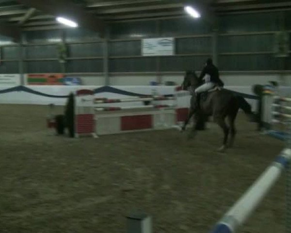 1. Hallen-Late-Entry Reitsportzentrum Gerd Könemann