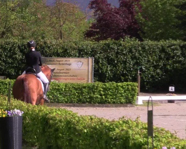 Reitturnier Olfen-Vinnum 2024