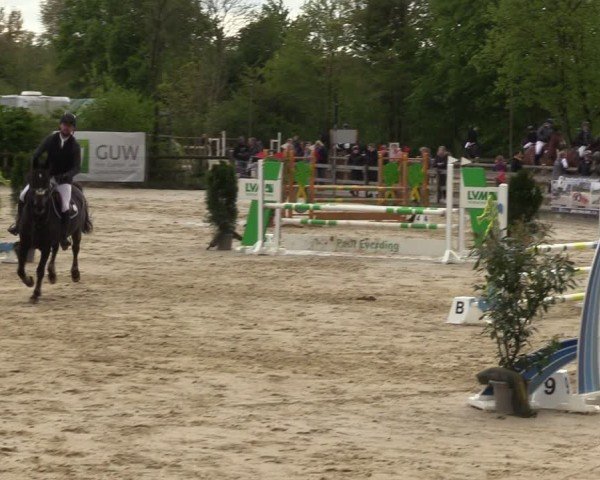 Reitturnier Nienberge 2024