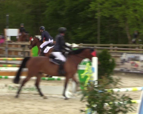 Reitturnier Nienberge 2024