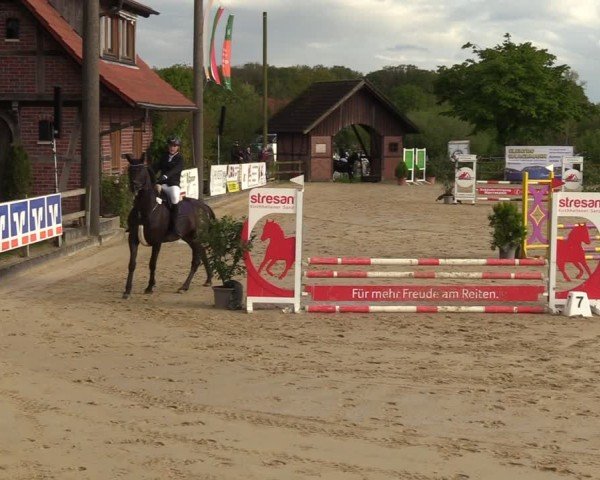 Reitturnier Nienberge 2024