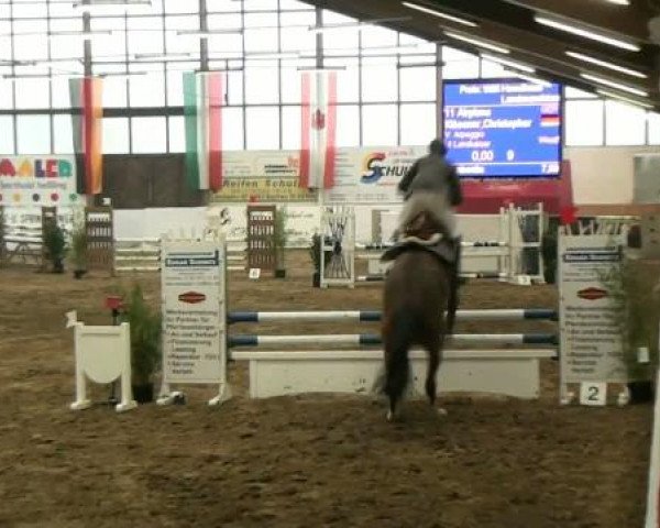 Hallenspringturnier Borken 2012
