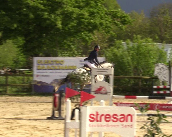 Reitturnier Nienberge 2024