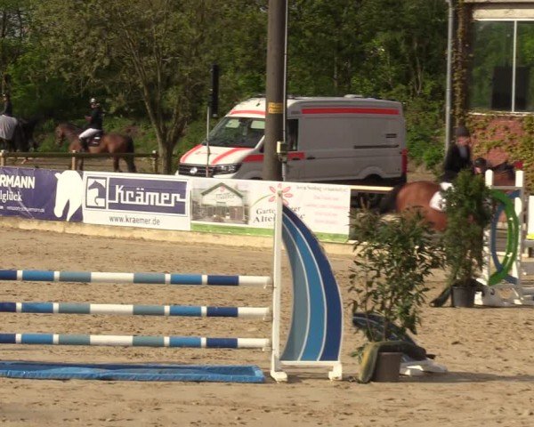 Reitturnier Nienberge 2024