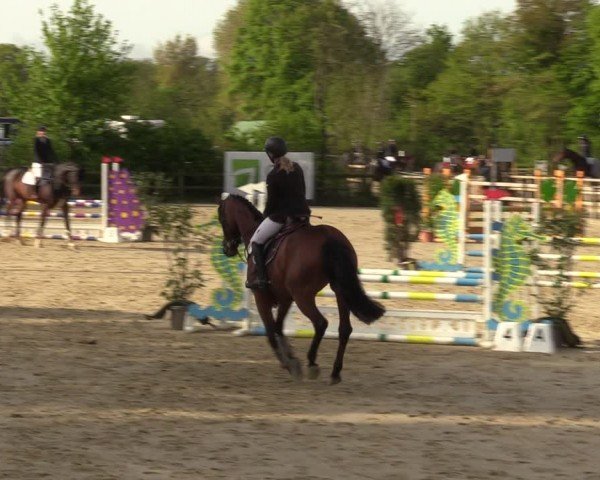 Reitturnier Nienberge 2024