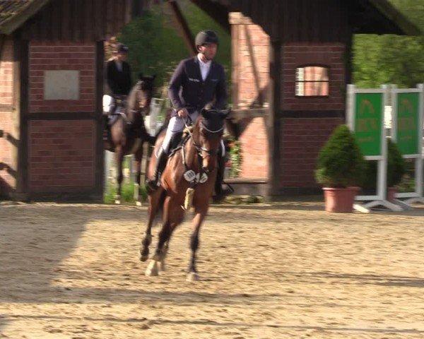 Reitturnier Nienberge 2024