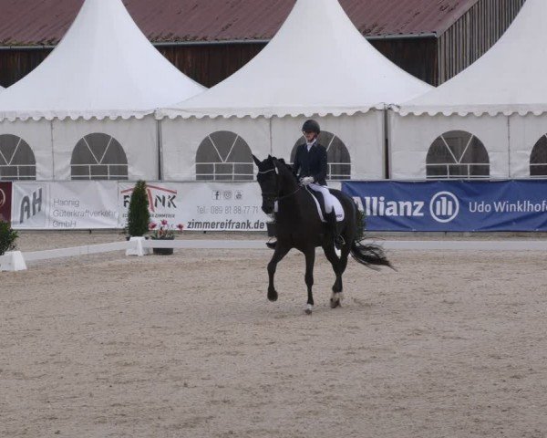 Reitturnier Karlsfeld/Obb. 2024