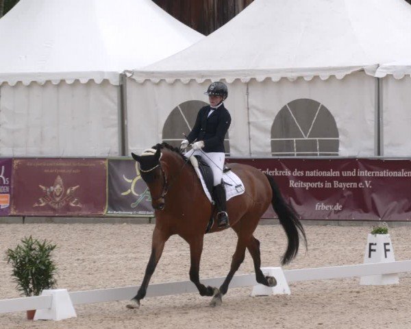 Reitturnier Karlsfeld/Obb. 2024