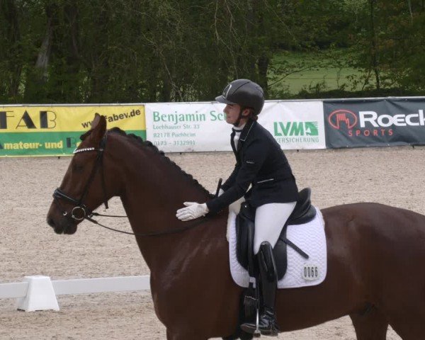 Reitturnier Karlsfeld/Obb. 2024