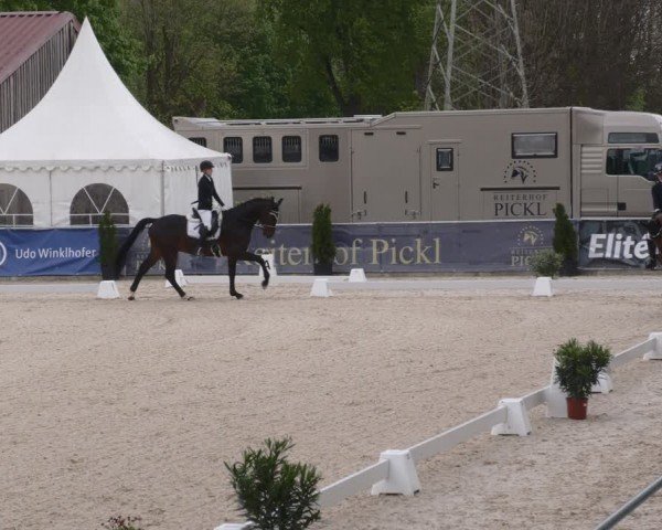 Reitturnier Karlsfeld/Obb. 2024