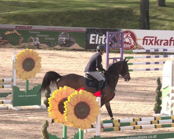 FEI Springturnier Stadl Paura 2024