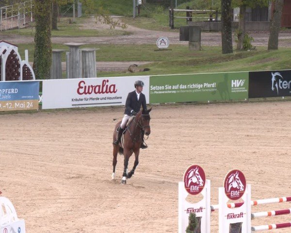 FEI Springturnier Stadl Paura 2024