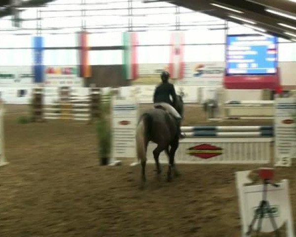 Hallenspringturnier Borken 2012