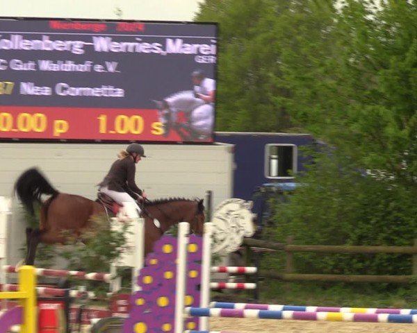 Reitturnier Nienberge 2024