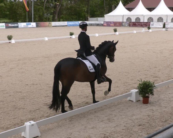 Reitturnier Karlsfeld/Obb. 2024