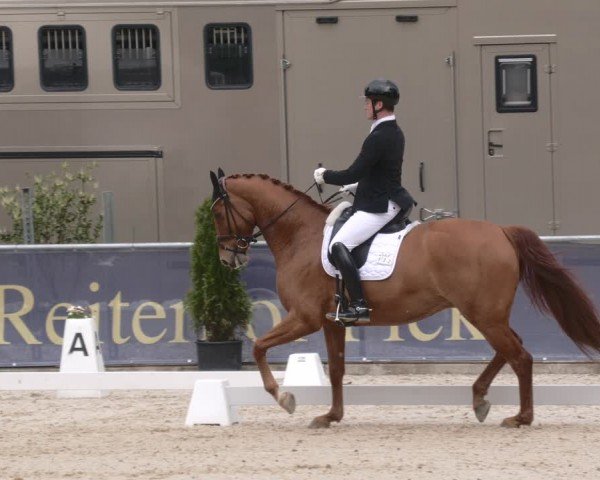 Reitturnier Karlsfeld/Obb. 2024