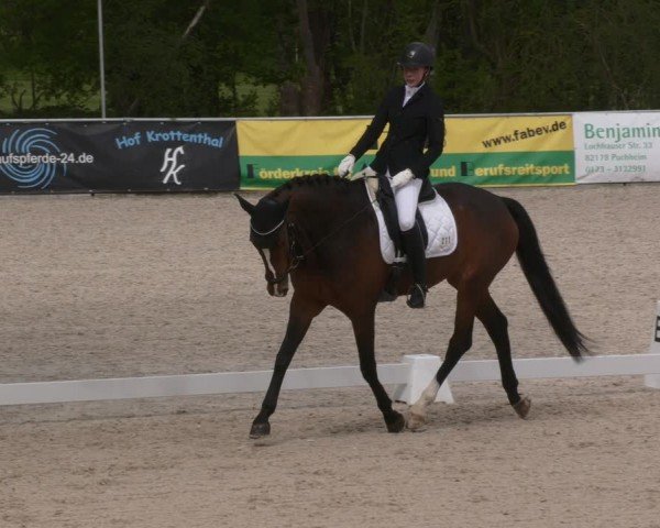 Reitturnier Karlsfeld/Obb. 2024