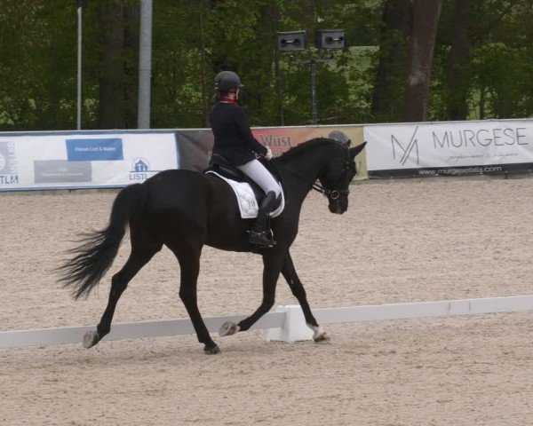 Reitturnier Karlsfeld/Obb. 2024